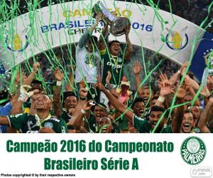 Puzzle Palmeiras, πρωταθλητής Βραζιλίας 2016